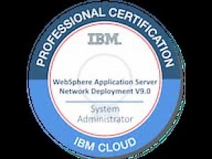 How to install WebSphere on windows 10/11