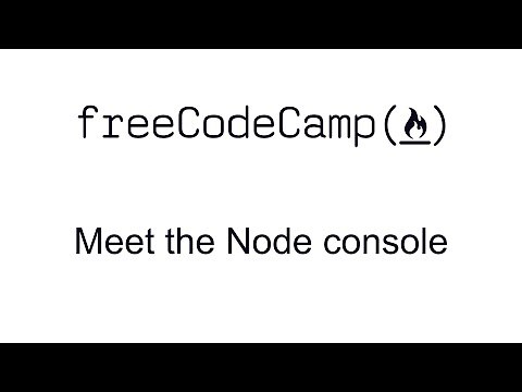 Meet the Node console - Basic Node And Express - Free Code Camp