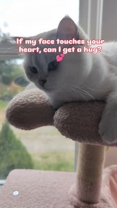 Can I get a hug? 💕 | Cuddling Crew