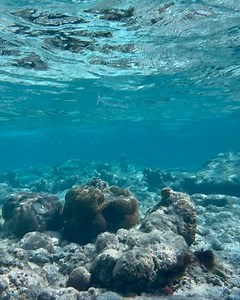 31K views · 64 reactions | Ian Wright on Reels | Facebook