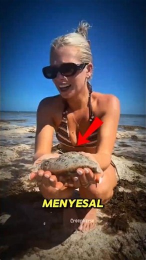 Cewek Ini Langsung Menyesal Setelah Menyentuh Benda Ini di Pantai 😨 #shorts #creepy #viralvideo