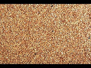 Buckwheat 101-Health Benefits