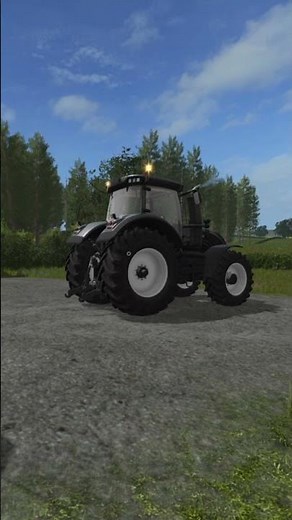 FS17