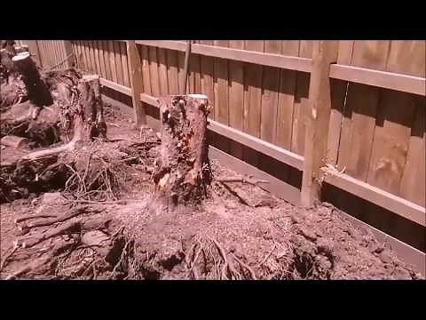 Chainblock Stump Puller