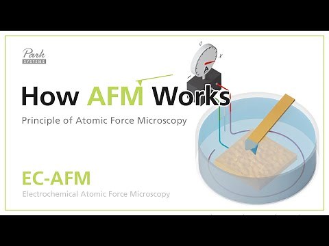 EC-AFM | How AFM Works - Principle of Atomic Force Microscopy