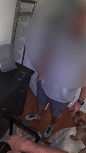 2.4K views · 13 reactions | How to crack open Amazon basic safe in few seconds. #amazonproduct #rubbermallet #funnyvideo #homesafe | Calabrese | Facebook