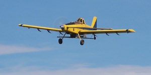 One million cypress and Tupelo seeds could help revive Louisiana’s forests