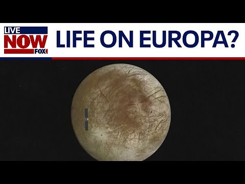 NASA seeks life on Jupiter's moon Europa | LiveNOW from FOX