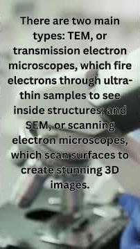 Electron Microscopes | Science Snapshots