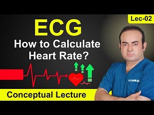 ECG Made Easy | How to Calculate Heart Rate | Regular vs Irregular Rhythm Explained