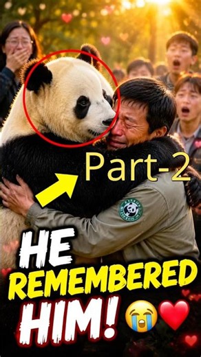 This Panda's Reaction After Seeing His Caregiver Again Will Make You Cry 😭