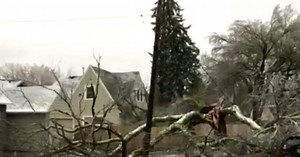 Watch: Huge tree falls on house in Oregon