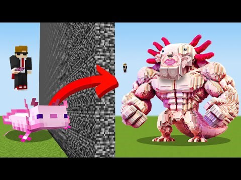I Cheated with //UPGRADE in Build Battle