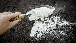 Garden Tone vs. Tomato Tone: When To Use Each for Best Results