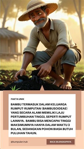 Pohon bambu adalah pohon yang bisa tumbuh dengan cepat