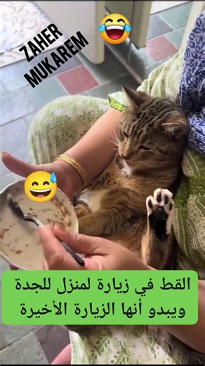 #Comedy Show | Zaher Mukarem