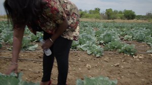 6.3K views · 121 reactions | OPEN FILE | Emma Tuaepa, who publicly revealed her HIV status 27 years ago and became a symbol in the battle against stigma, discusses the journey toward ending AIDS with Open File. #NBCNews #nbcDSTV282 #nbcdigitalnews #nbcGOtv20 #nbcPlusApp | NBC Digital News | Facebook