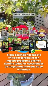121K views · 2.1K reactions | ¿Tienes muchas plantas, pero algunas de...