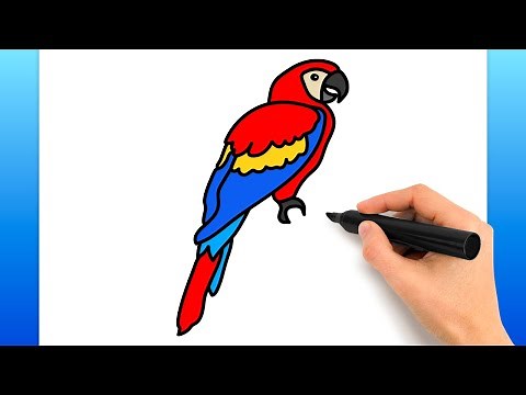 How To Draw A Scarlet Macaw (Easy Drawing Tutorial)
