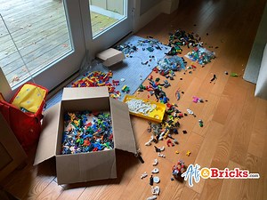 How many LEGO bricks are in 10 bulk pounds? - Arts and Bricks