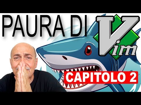 Utilizzare VIM e sopravvivere all'esperienza - 2a parte