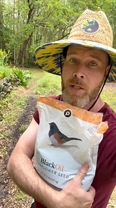 8.4K views · 336 reactions | Bird seed sunflowers! The deer have been eating the garden and I have more fun planting than harvesting so why not plant some cheap seeds and let nature eat. #sunflowers #birdseed #chaosgardenjng #chaosgarden #cheapseeds #nature #garden | James Weston | Facebook