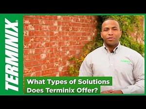 Protect Home From Termites - Terminix Services
