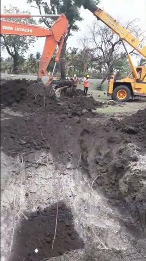 Tree re-plantation by NHAI..