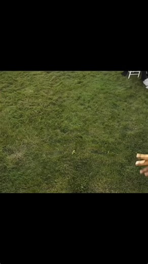 𝗠𝗘𝗠𝗘 𝗧𝗘𝗠𝗣𝗟𝗔𝗧𝗘𝗦 𝗙𝗢𝗥 𝗘𝗩𝗘𝗥𝗬𝗢𝗡𝗘 on Instagram: "New Meme Template 🌠 . . Disclaimer: NO COPYRIGHT INFRINGEMENT INTENDED! We don't own visuals or audio in content. The Credits give to the respective owners. FAIR USE: Copyright disclaimer under section 107 of the copyright act 1976. Allowance is made for "fair use" for purposes such as criticism, comment, news reporting, teaching, scholarship infringing." We do not own all the material. . . . . . #memepage #memes #memerlife #mem