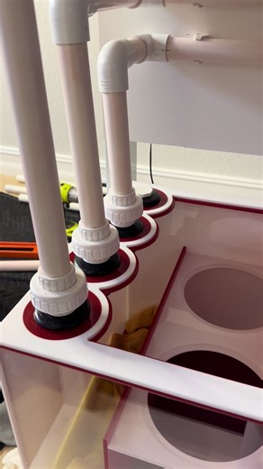 Essential PVC Gluing Tips for Aquarium Maintenance