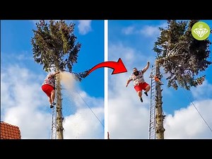 Idiots With Chainsaws: Tree Cutting Fails | Tree Falling on House #2