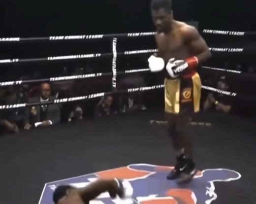 26K views · 198 reactions | The Sweet Science: Beauty, Brutality, and...