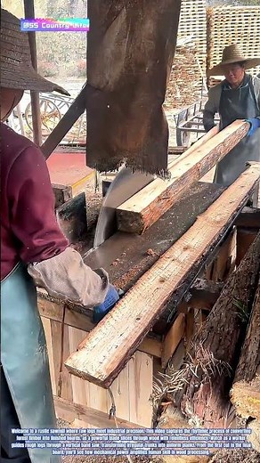 Timber Transformation: How a Band Saw Mill Converts Logs to Lumber