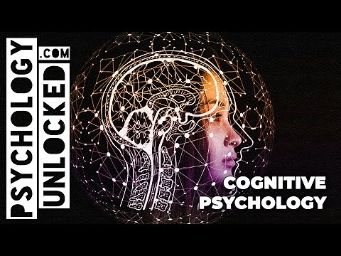 Cognitive Psychology explained in less than 5 minutes