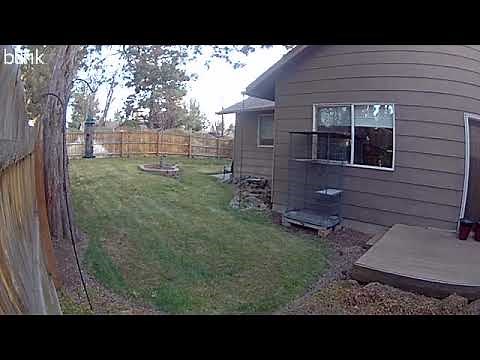 Blink Outdoor 4 Review: The All-Purpose Outdoor Security Cam