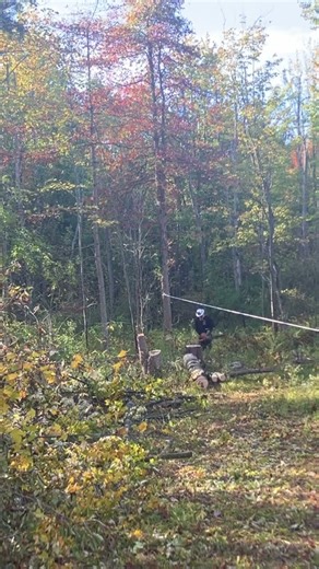 Buckin Billy method : back cut first on leaner