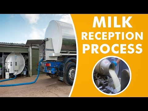 Milk Reception Process