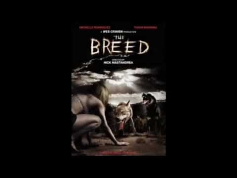 Top 10 Dog Horror Movies