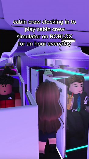 hardworking, yet unappreciated and underpaid 😐 #foryoupage #foryou #roblox #robloxairlines #roaviation #aviation #lemonde #lemondeairlines