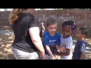 Playground Problem Solving - Solution Kit - Timer