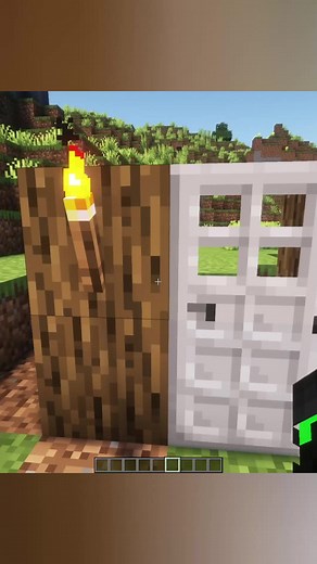 Minecraft Funny Mods #minecraft #meme #gaming #funny