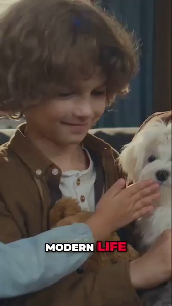 Why Is Everyone Obsessed With Maltipoos Now?