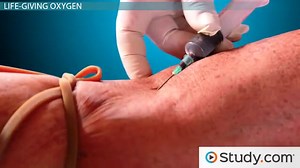 Blood Oxygen Levels | Overview, Saturation & Measurement