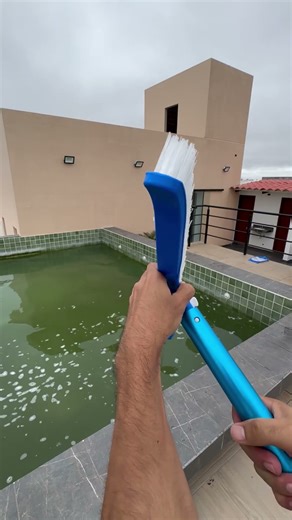 How to Restore a Very Dark Green Pool | Step-by-Step + Calculations with Pool App