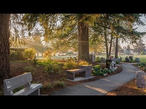 What options are available in the cemetery when cremation is chosen?