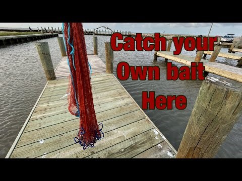 Top 3 Spots to catch your own bait at the Texas City Dike