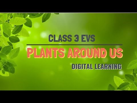 Class 3 EVS | Plants Around Us | Digital Learning | Tutorial in English