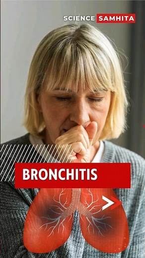 Bronchitis 101: Everything You Need To Know #bronchitis