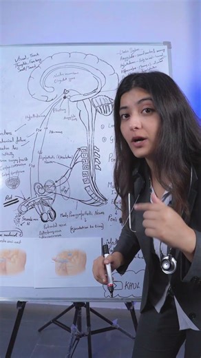 Penile Implant Surgery for Erectile Dysfunction | Dr Sonali