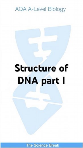 AQA A Level Biology - DNA structure part 1 #alevelbiology